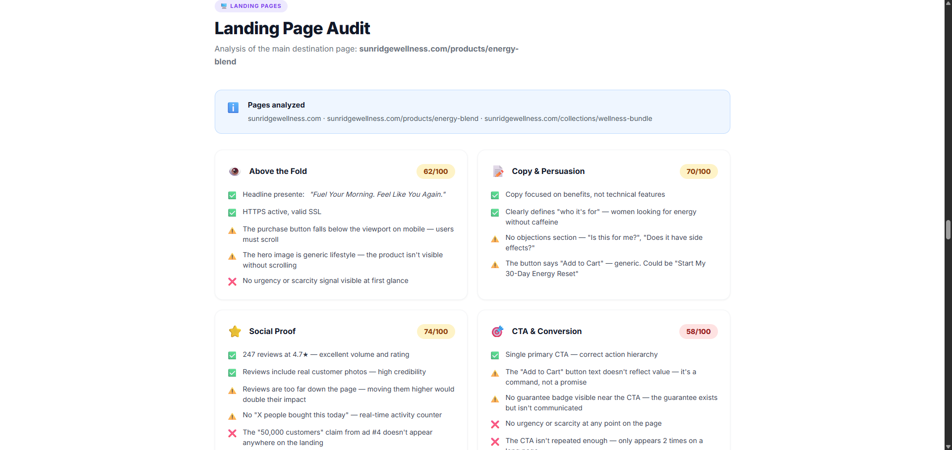 Landing Page Audit section analyzing Above the Fold, Copy and Persuasion, Social Proof, and CTA and Conversion with pass/fail checkmarks and specific actionable findings