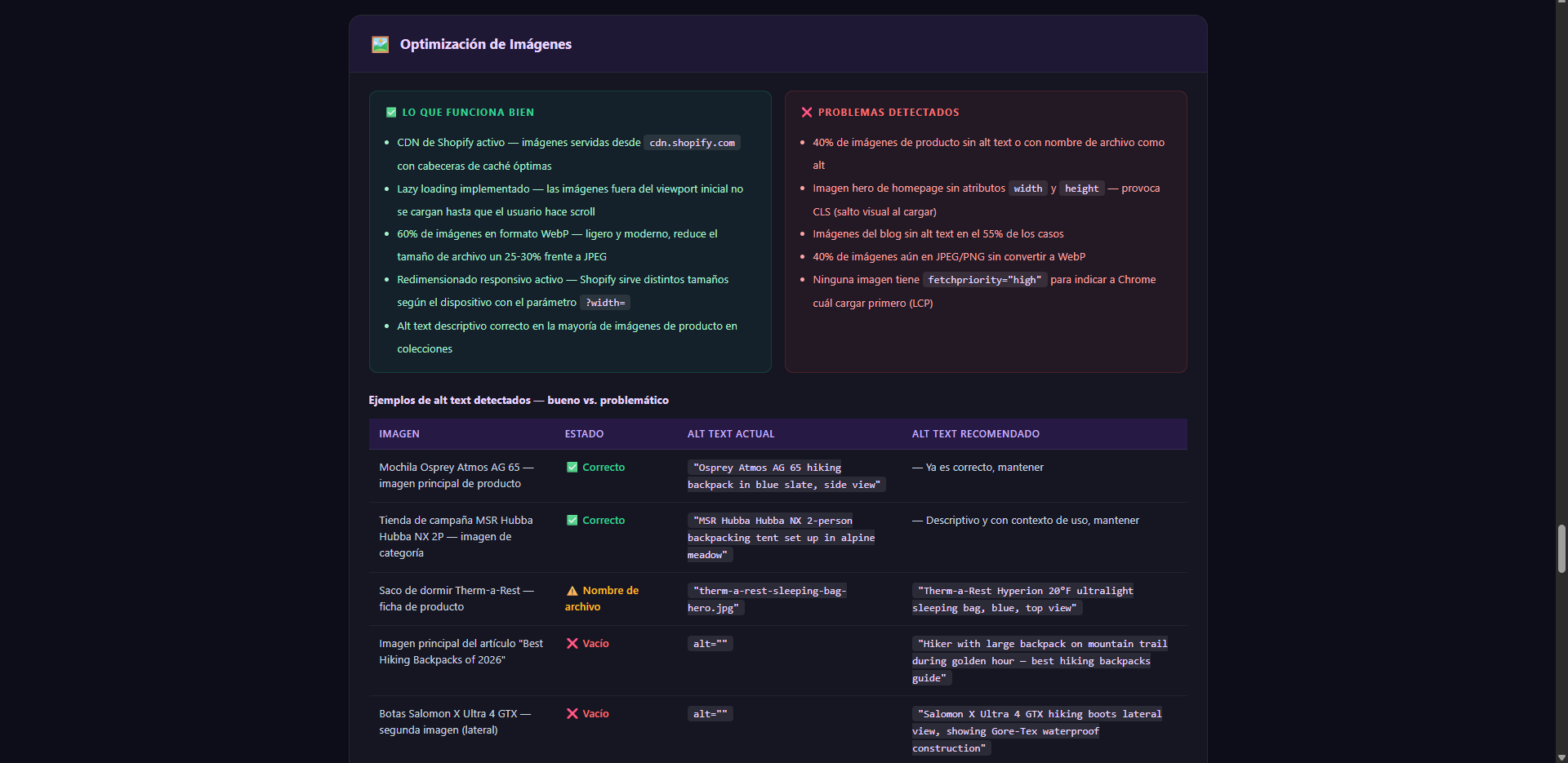 Image optimization section split into what works well and problems detected, followed by an alt text audit table comparing current alt text against recommended alt text for five specific product images — with correct, warning, and empty status labels